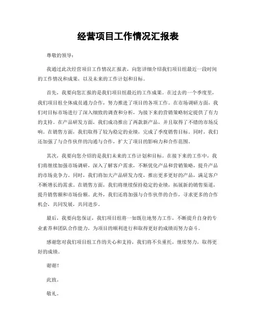 经营项目工作情况汇报表