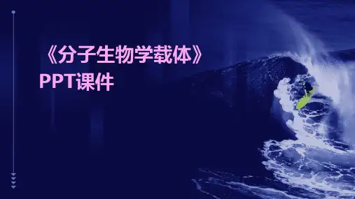 《分子生物学载体》课件