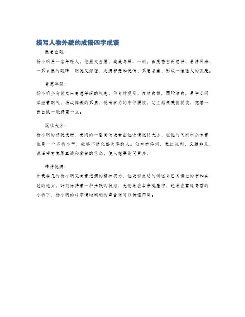 描写人物外貌的成语四字成语