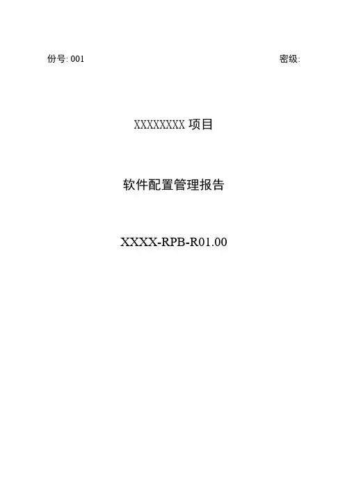 软件配置管理报告