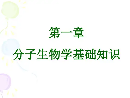 分子生物学基础知识