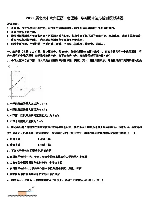 2025届北京市大兴区高一物理第一学期期末达标检测模拟试题含解析