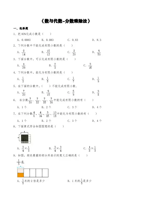 苏教版六年级数学下册试题 一课一练《数与代数-分数乘除法》 【含答案】