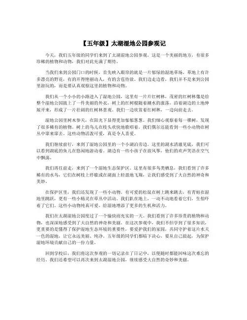 【五年级】太湖湿地公园参观记