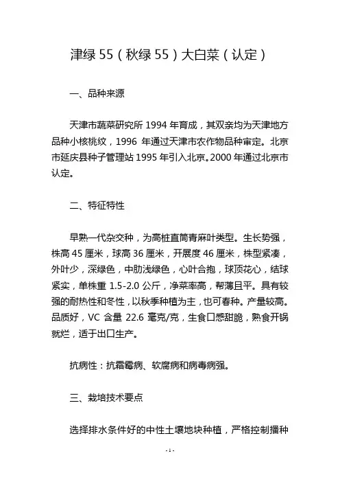 津绿55(秋绿55)大白菜(认定)