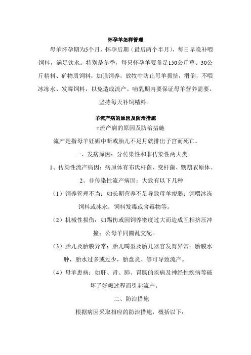 怀孕羊怎样管理