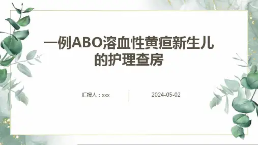 一例ABO溶血性黄疸新生儿的护理查房PPT课件