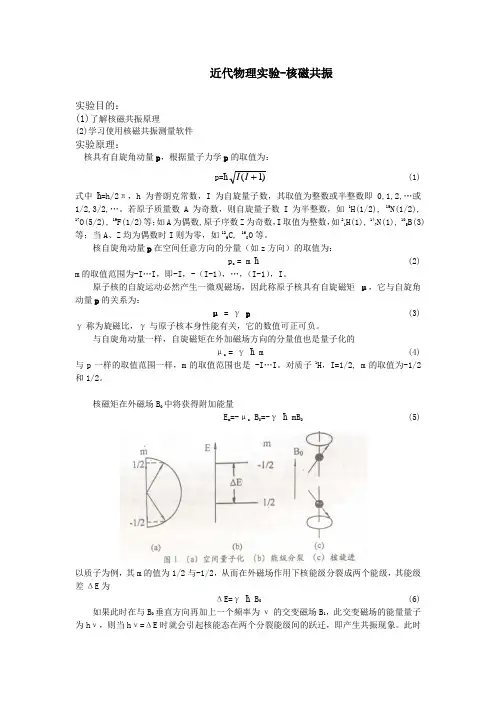 脉冲核磁共振实验