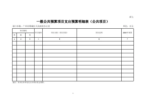 一般公共预算项目支出预算明细表(公共项目)