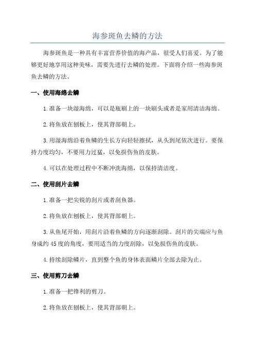 海参斑鱼去鳞的方法