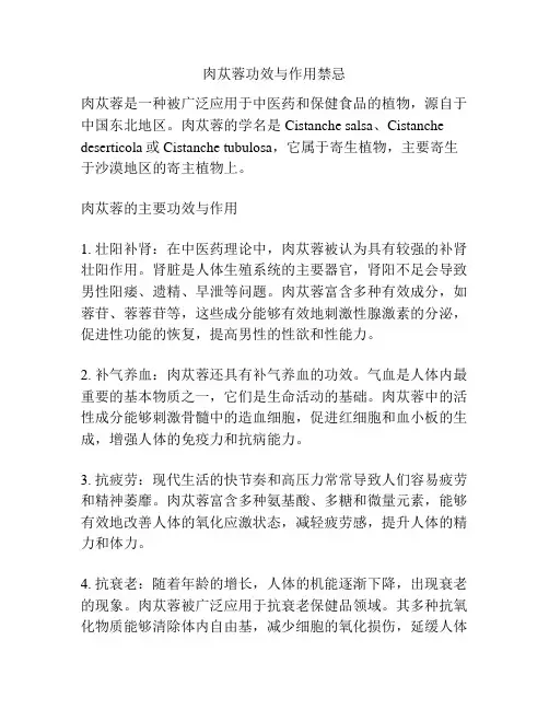 肉苁蓉功效与作用禁忌
