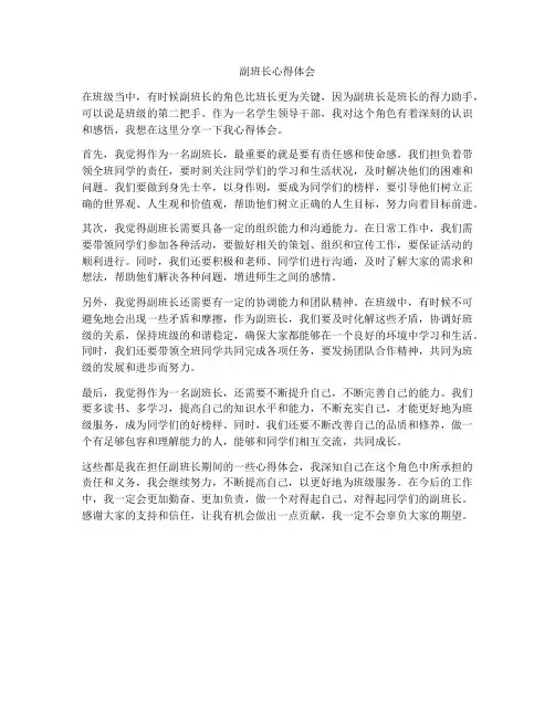 副班长心得体会