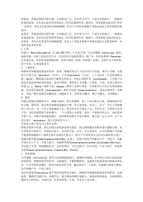 什么是硅藻？