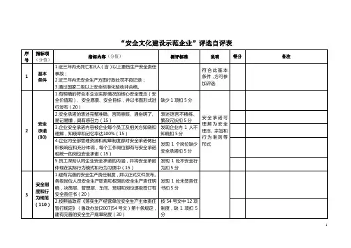 安全文化建设自评表