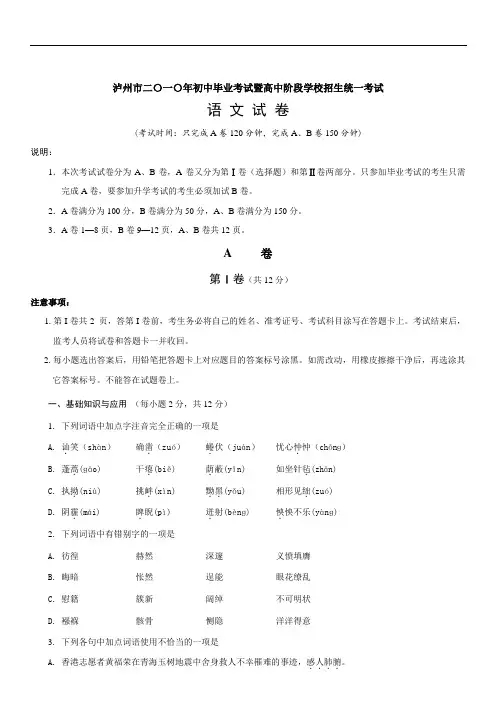 最新版高一语文题库 2010年泸州市中考语文试卷及答案
