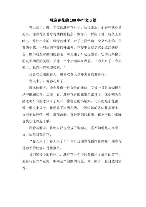 写迎春花的100字作文5篇