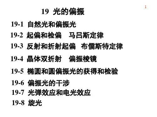 大学物理 光的偏振