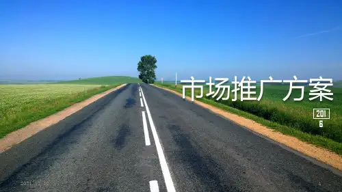 市场分析报告PPT(适合线上及线下)