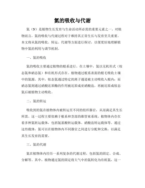 氮的吸收与代谢