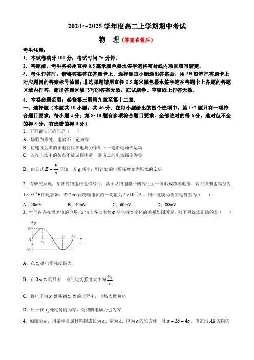 广东省深圳市盟校联盟2024-2025学年高二上学期11月期中考试 物理含答案
