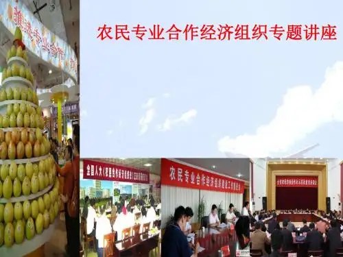 农民专业合作经济组织专题课件(PPT 45张)