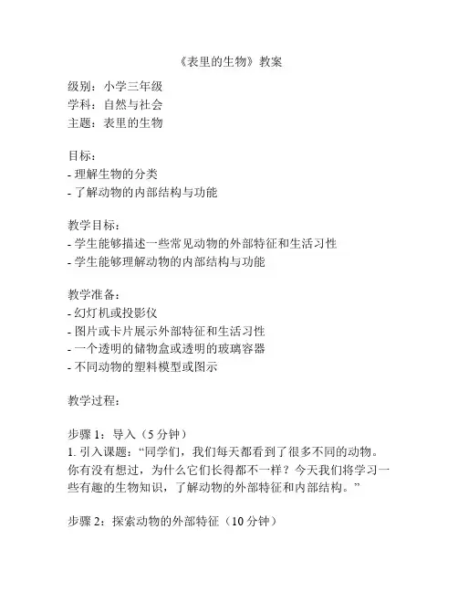《表里的生物》教案