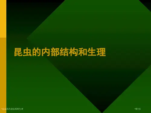 昆虫的内部结构和生理