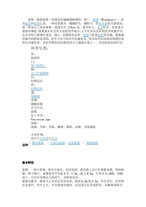 蓝莓