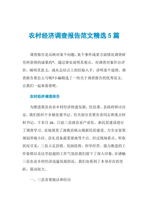农村经济调查报告范文精选5篇