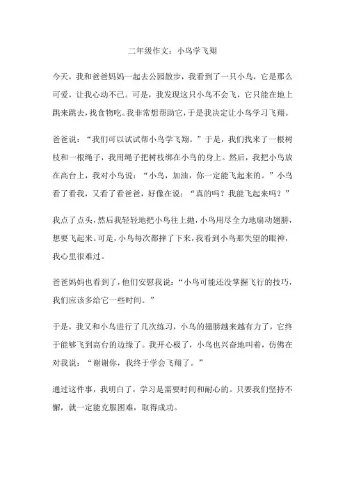 二年级作文：小鸟学飞翔