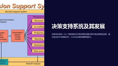决策支持系统及其发展