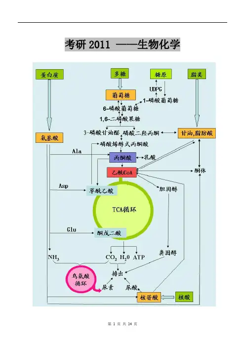 沈阳药科大学生物化学笔记