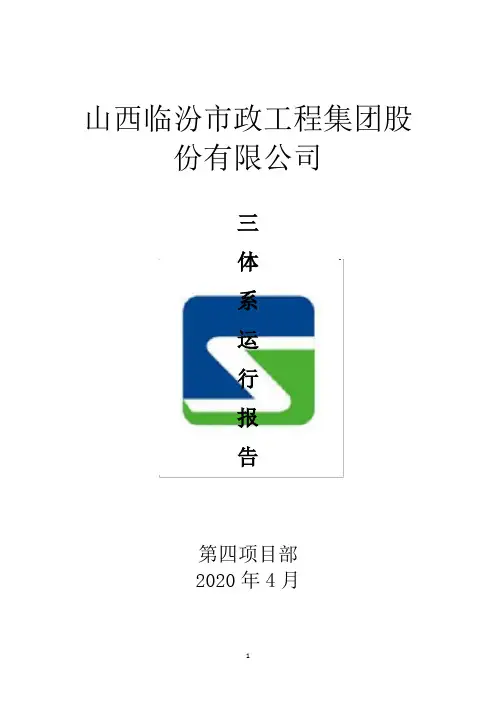 三体系运行报告