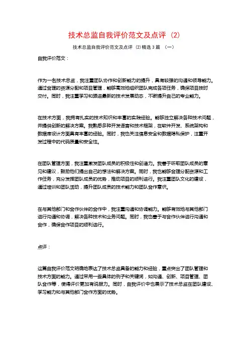 技术总监自我评价范文及点评 (2)3篇