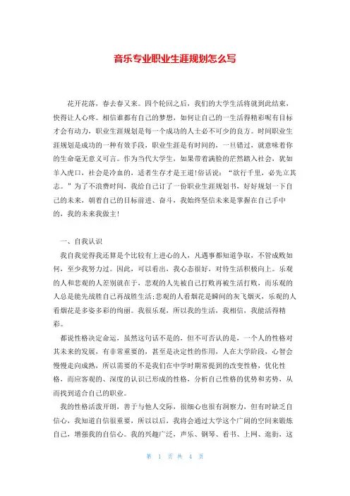 音乐专业职业生涯规划怎么写