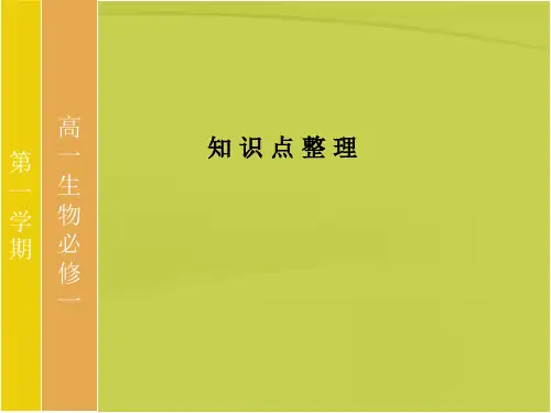 高中生物必修一复习课件