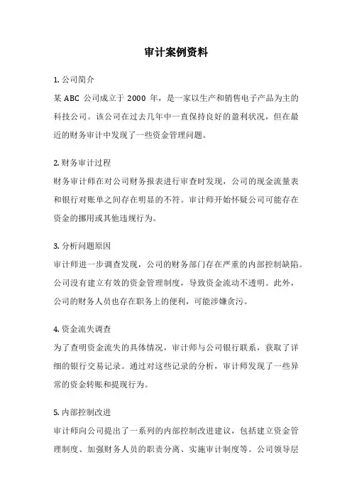 审计案例资料