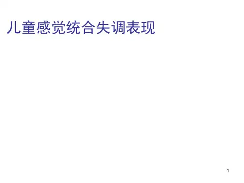 感觉统合训练方案PPT课件