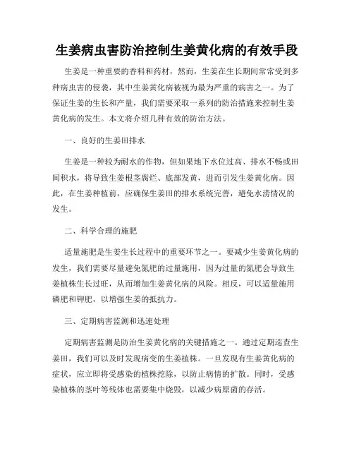 生姜病虫害防治控制生姜黄化病的有效手段