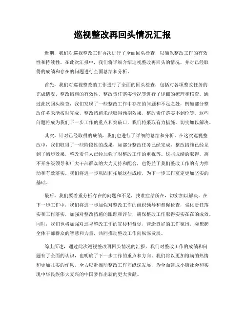 巡视整改再回头情况汇报