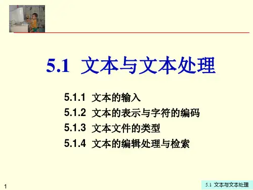 第5章5.1文本与文本处理ppt课件