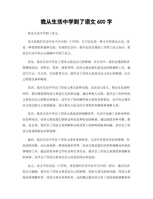 我从生活中学到了语文600字