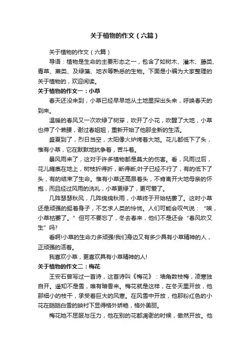 关于植物的作文（六篇）