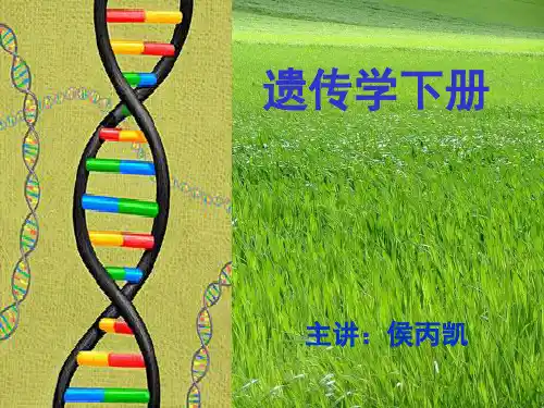 遗传学课件09第九章 染色体畸变