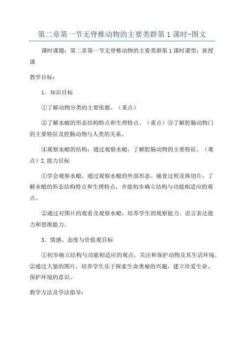 第二章第一节无脊椎动物的主要类群第1课时-图文