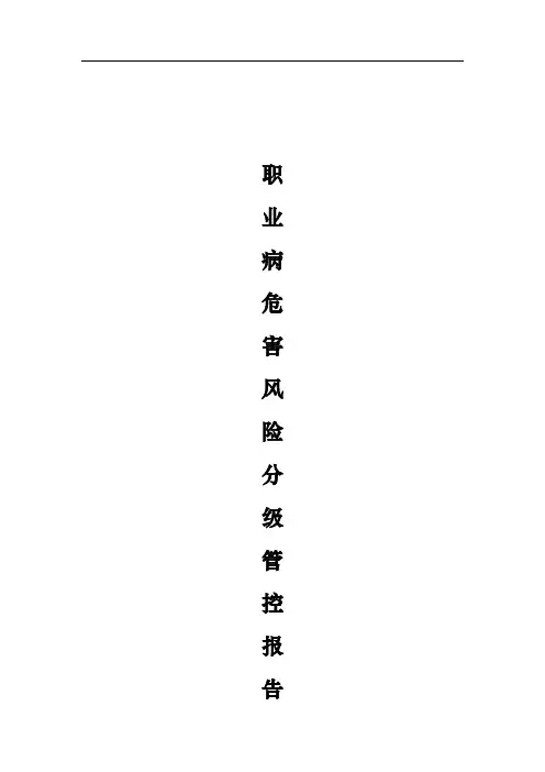 用人单位职业病危害风险分级管控报告