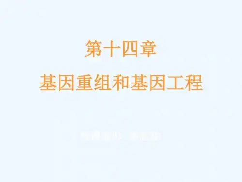 第十四章基因重组与基因工程-第14章基因重组与基因工程