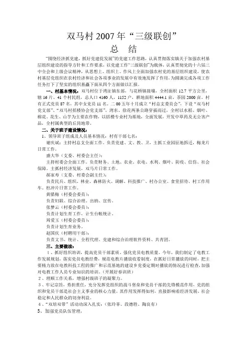 07三级联创总结