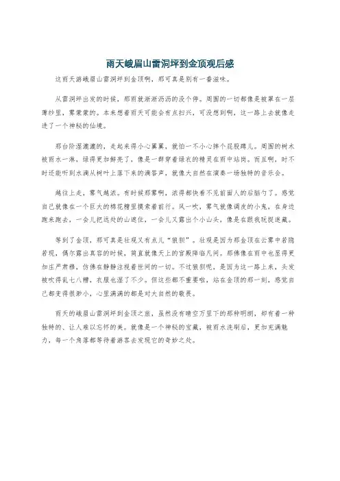 雨天峨眉山雷洞坪到金顶观后感