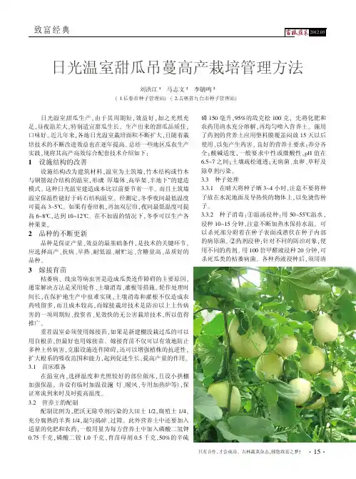 日光温室甜瓜吊蔓高产栽培管理技术